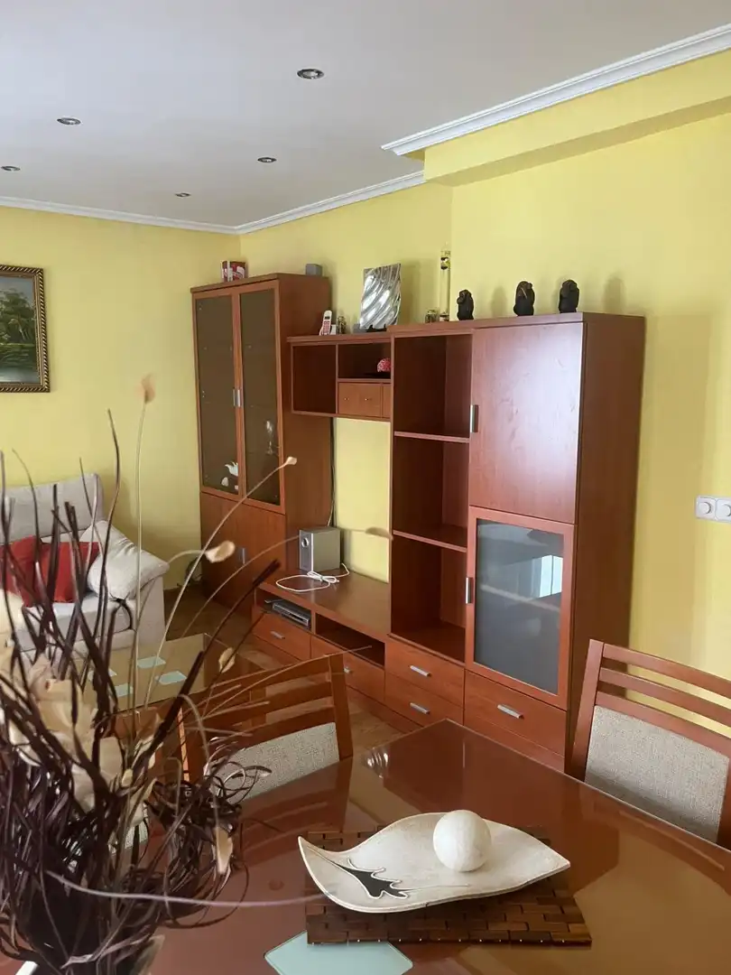 Sala d'estar de Pis de lloguer en Ávila amb Calefacció, Terrassa i Moblat