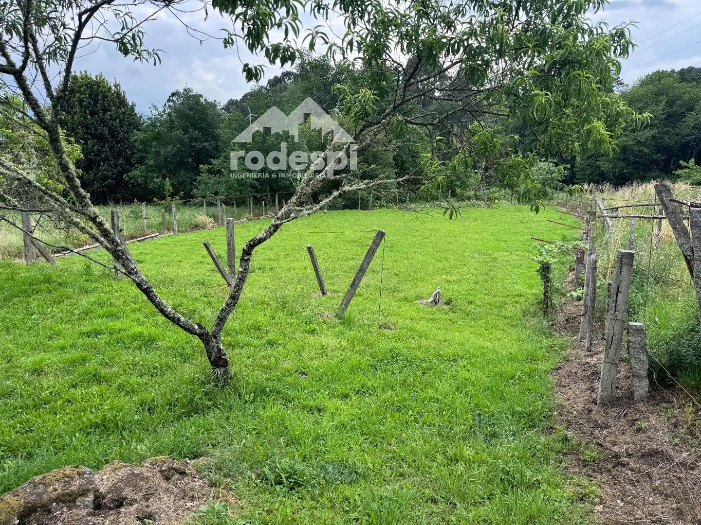 Casa o xalet en venda en Crecente amb Traster i Moblat