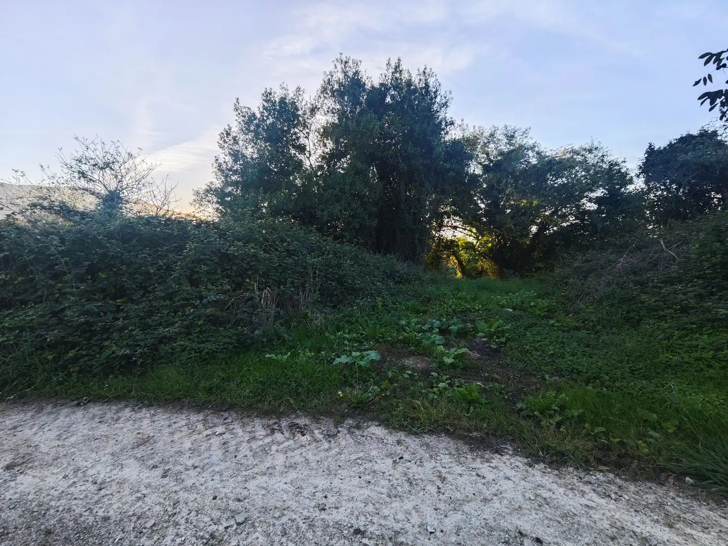 Terreno rústico en venta en Pría - Nueva-Hontoria - Naves, imagen 8