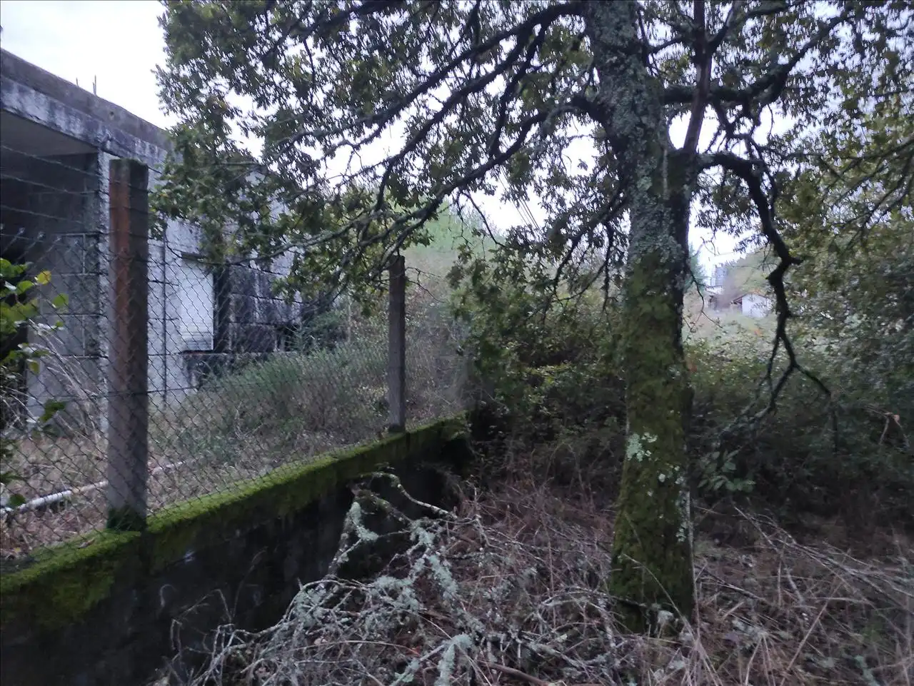 Commercial properties for sale in San Cristovo de Cea