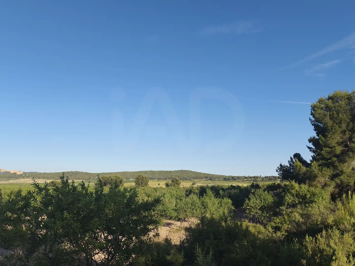Terreno rustico in vendita a Moratalla, imagen 10