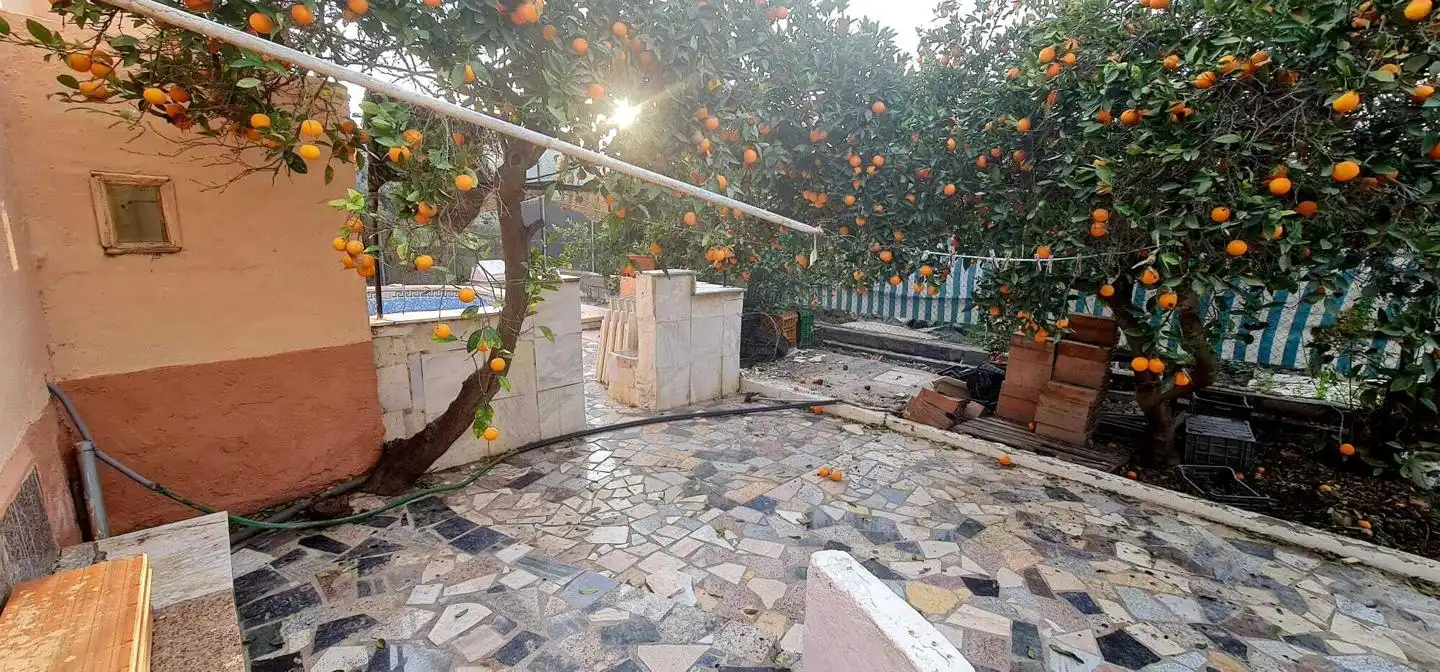 Jardín de Casa o chalet en venta en Benahadux