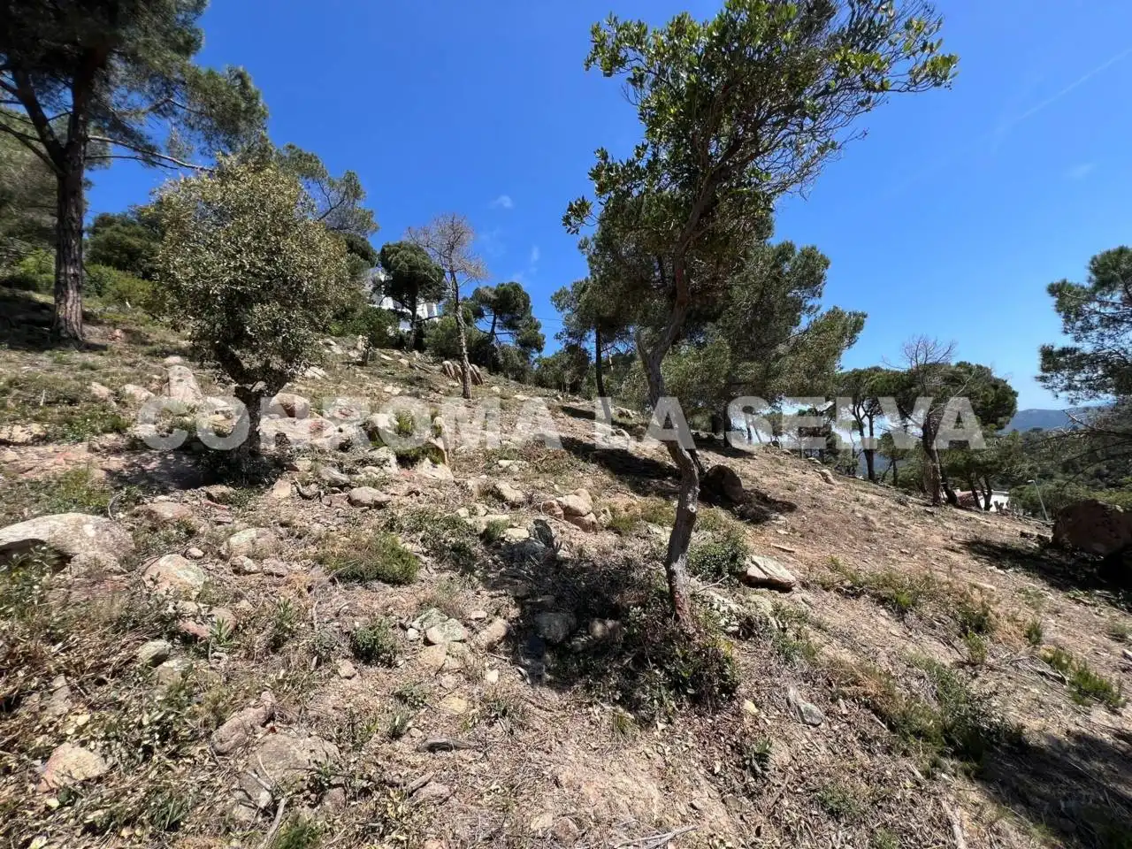 Terreno residencial en venta en Serra Brava, imagen 9