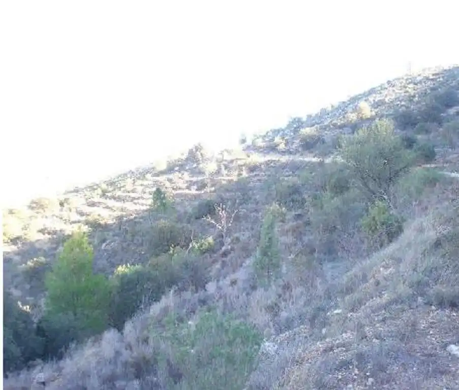Terreny rústic en venda a Casas Bajas, imagen 5