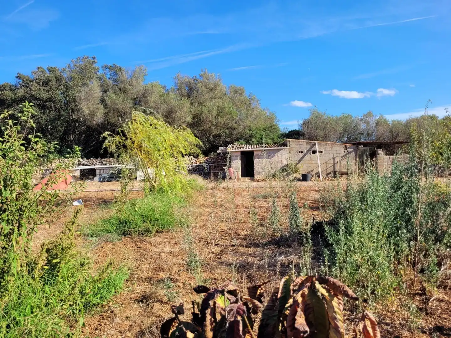 Maison rustique à vendre à Cala Blanca, imagen 24