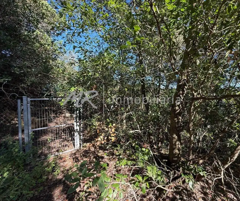 Casa o chalet en venta en Dosrius con Calefacción, Jardín privado y Terraza