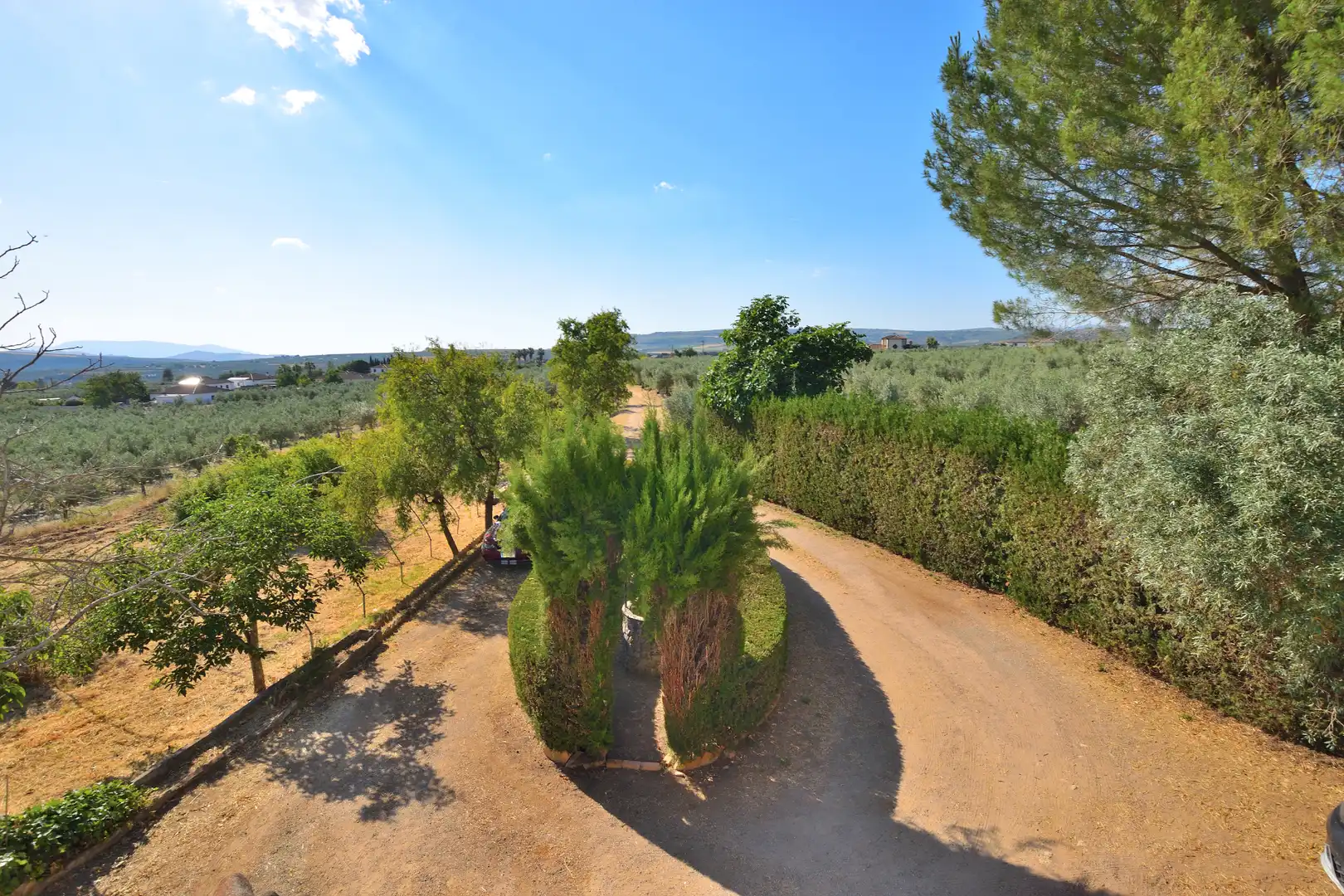 Jardín de Finca rústica en venta en Setenil de las Bodegas con Jardín privado, Terraza y Trastero