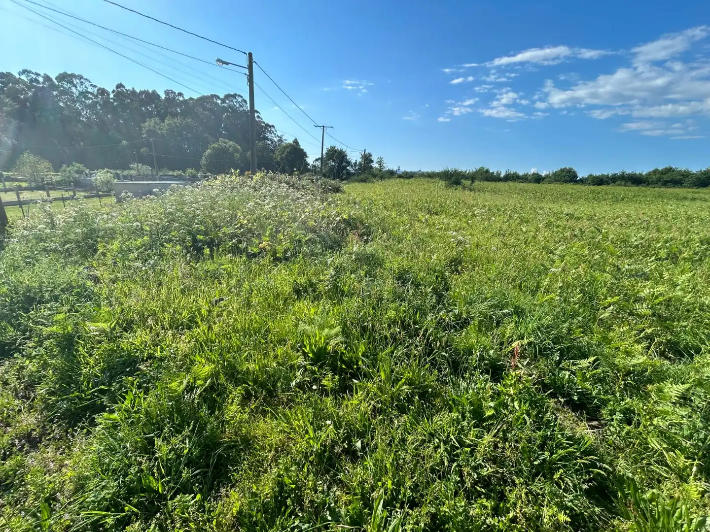 Terreno rustico in vendita a Marín, imagen 3
