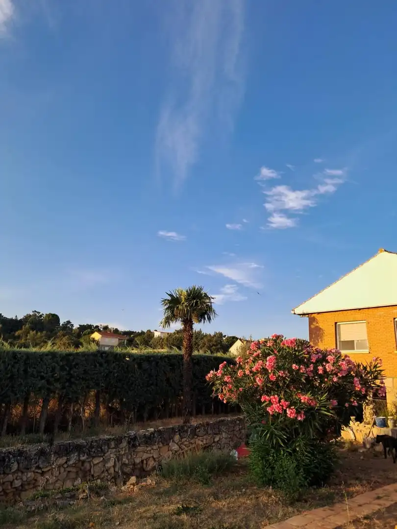 Jardí de Casa o xalet en venda en Matarrubia