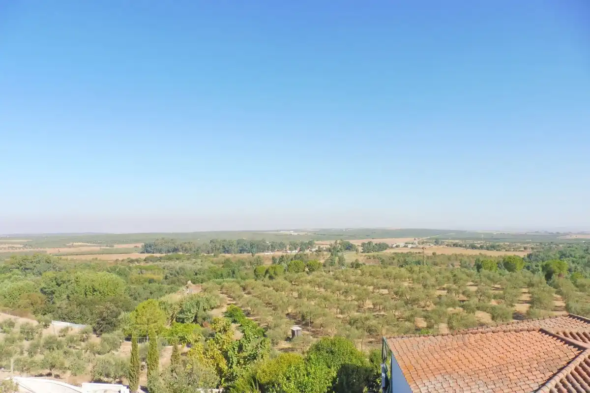 Houses for rent in Aznalcázar