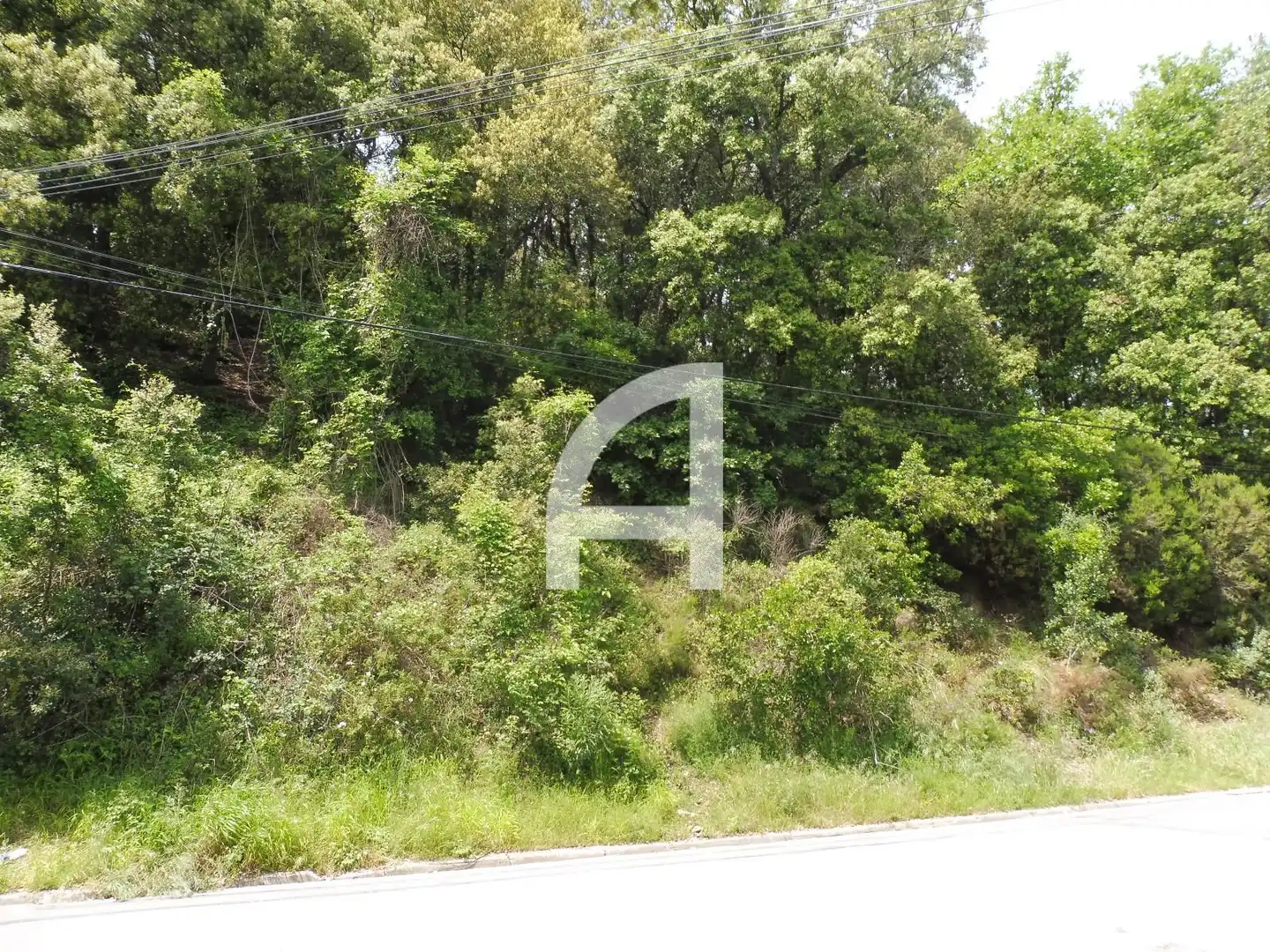 Terreny rústic en venda a Serra de Sant Feliu del Racó, imagen 4