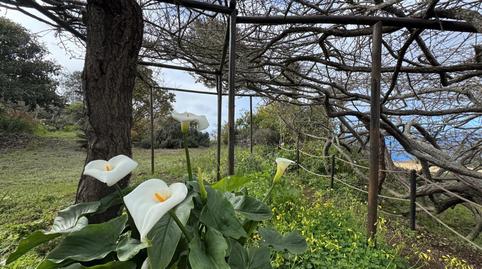 Foto 2 de Casa o xalet en venda a Carretera la Vega la Montañeta, Garachico, Santa Cruz de Tenerife