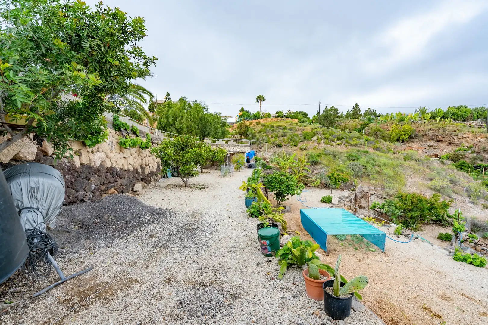 Jardín de Finca rústica en venta en Granadilla de Abona con Aire acondicionado, Jardín privado y Terraza