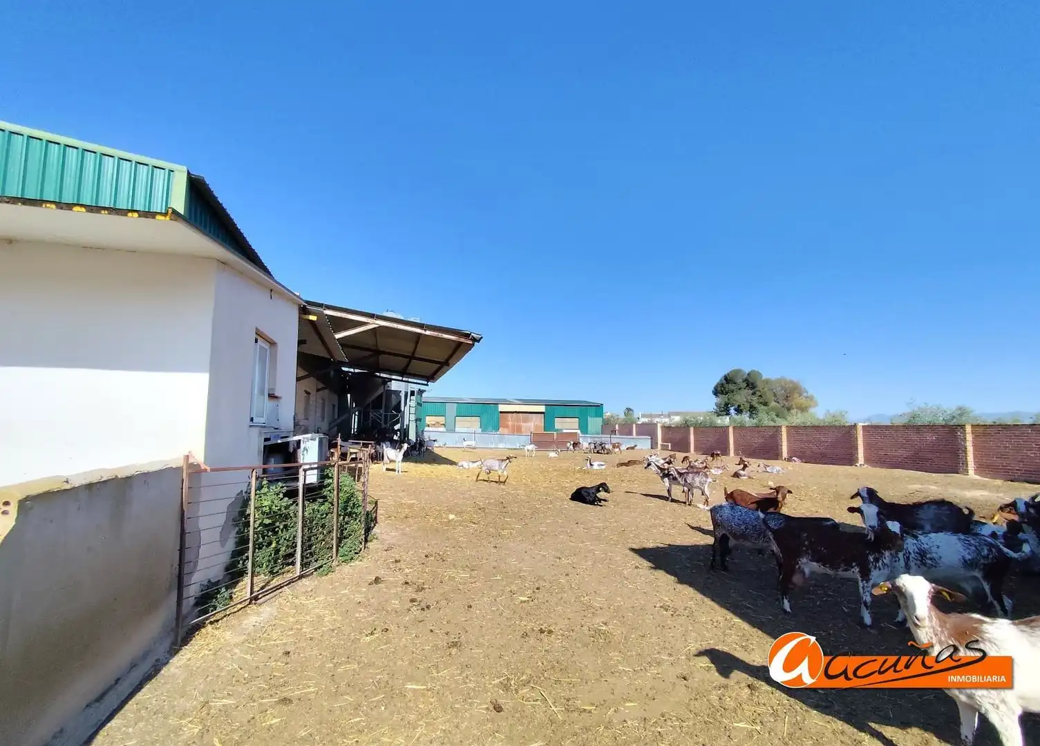 Nau industrial en venda a Mollina, imagen 15