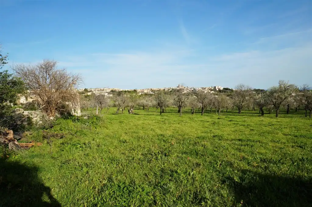Casa rustica con giardino in vendita a Campanet, imagen 5