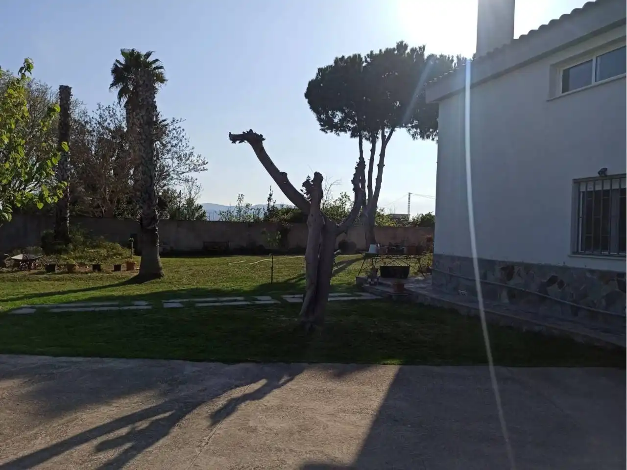 Jardí de Casa o xalet en venda en Benicarló amb Jardí privat i Terrassa