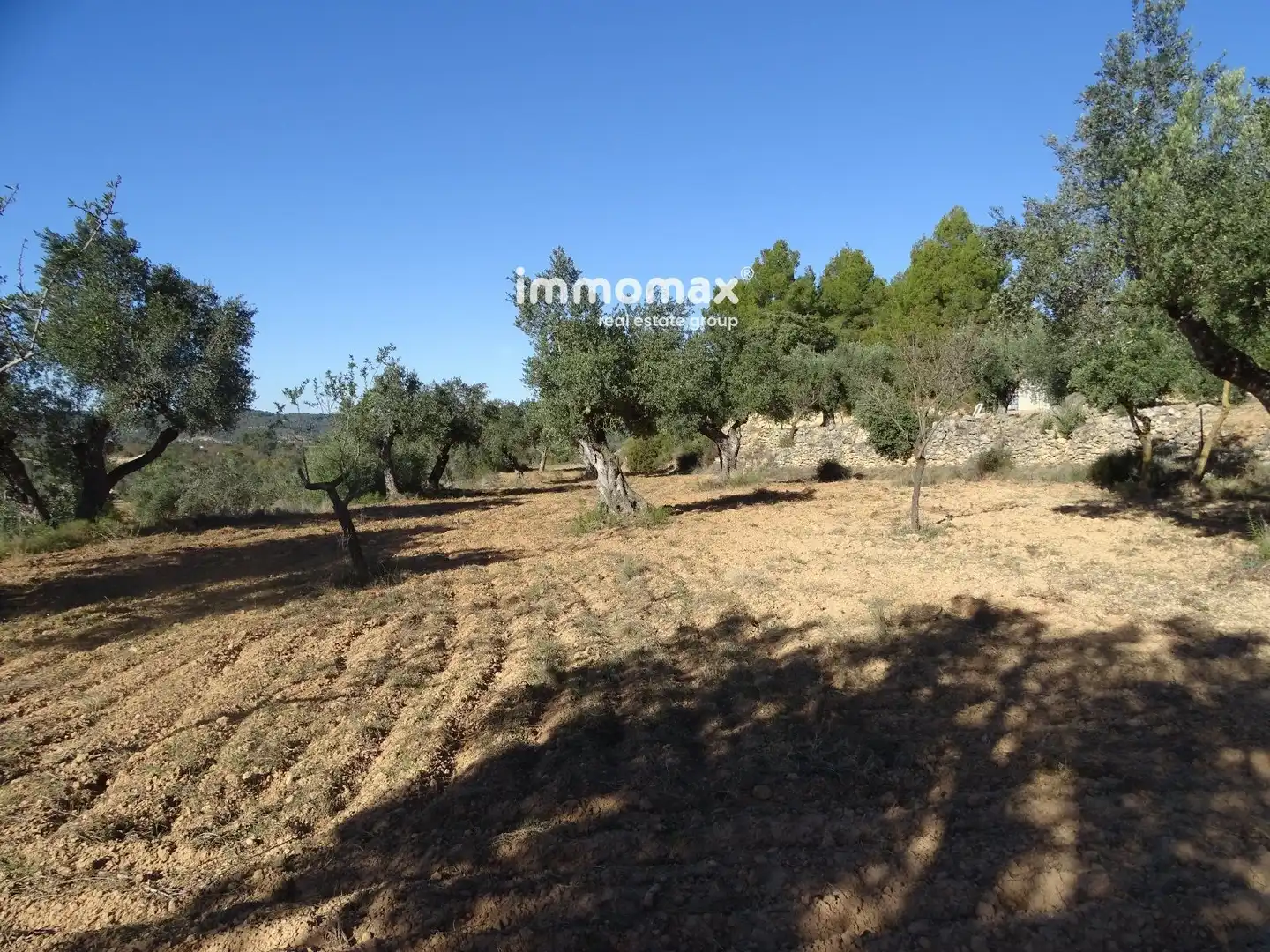Rural land for sale in 13, imagen 10