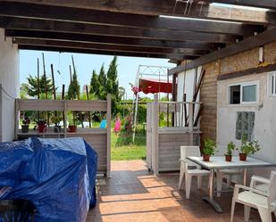Garden of Flat to rent in Oliva  with Air Conditioner, Terrace and Furnished