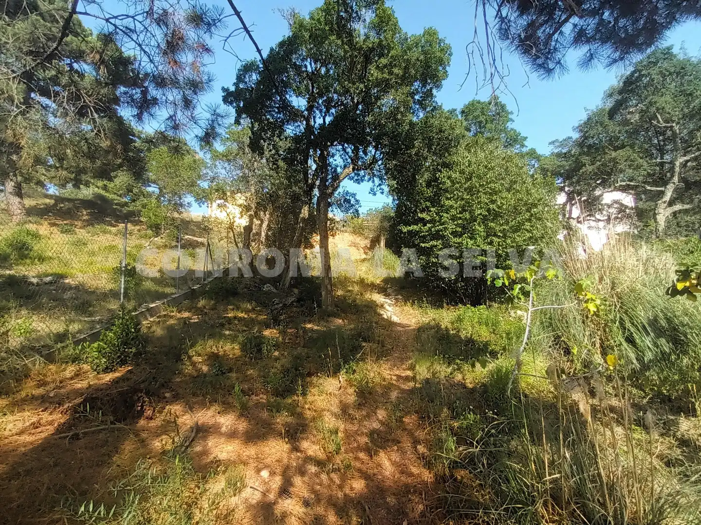 Residential land for sale in Montbarbat, imagen 3