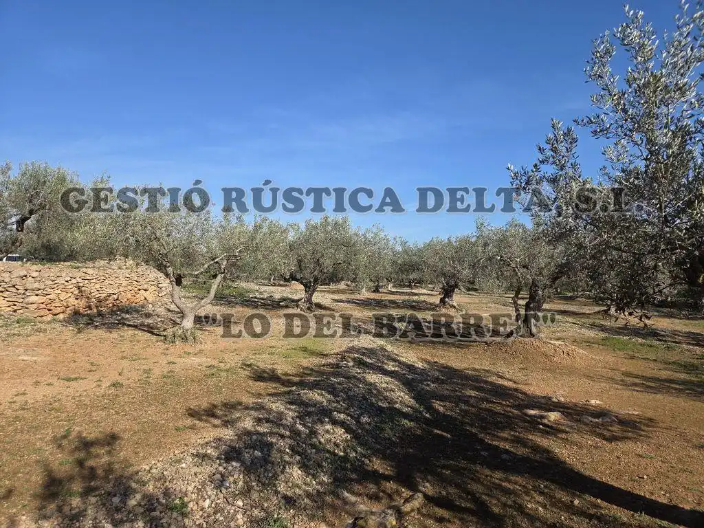 Finca rústica en venda en L'Ampolla amb Terrassa