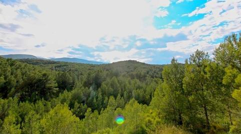 Foto 4 de Casa o chalet en venta en Cuatro, Olimar - Carambolo - Atalaya de Levante, Valencia