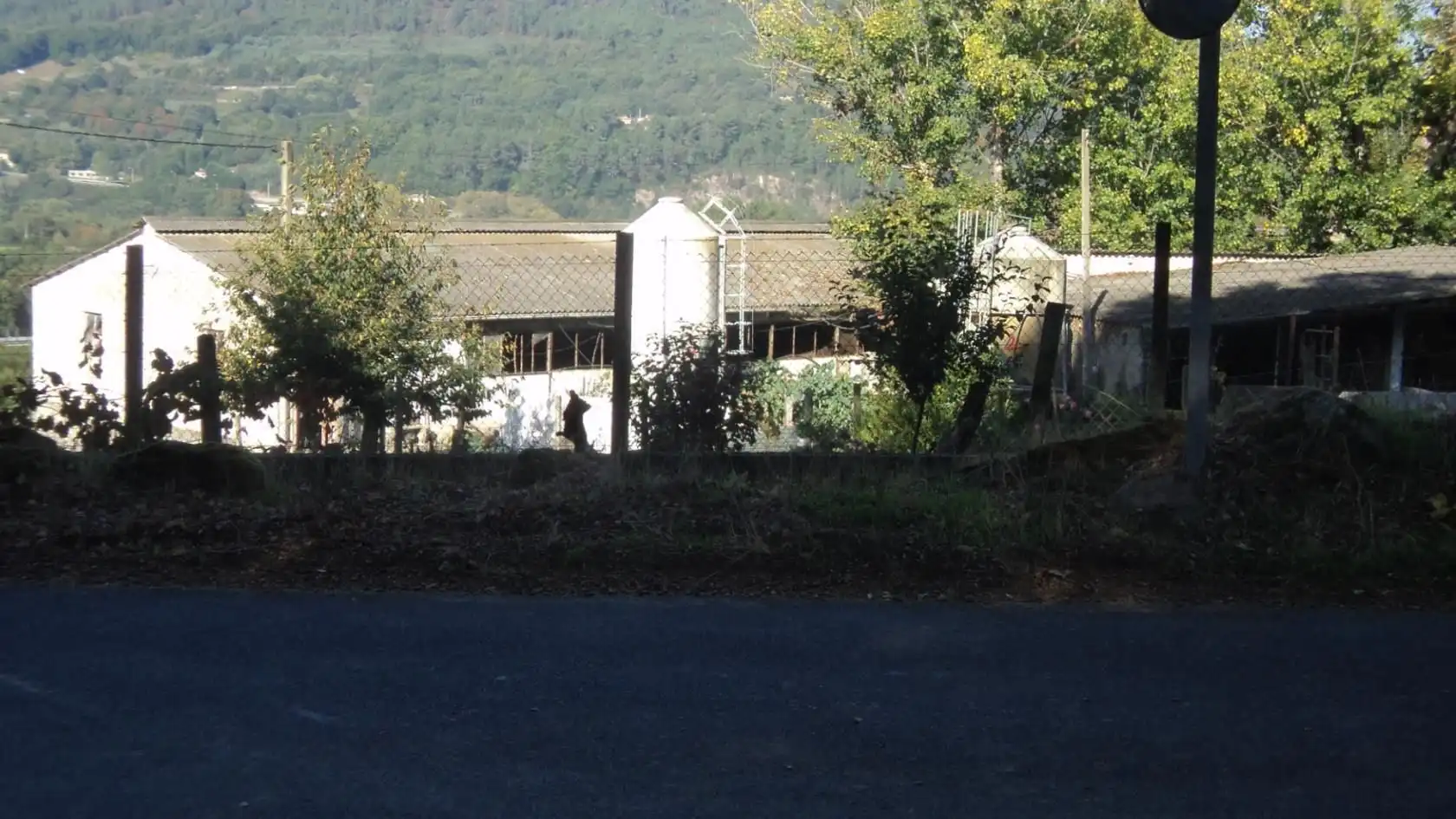 Vista exterior de Finca rústica en venda en Celanova amb Jardí privat