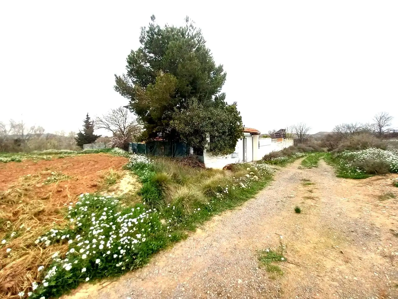 Casa o chalet en venta en Mozota con Jardín privado, Trastero y Piscina
