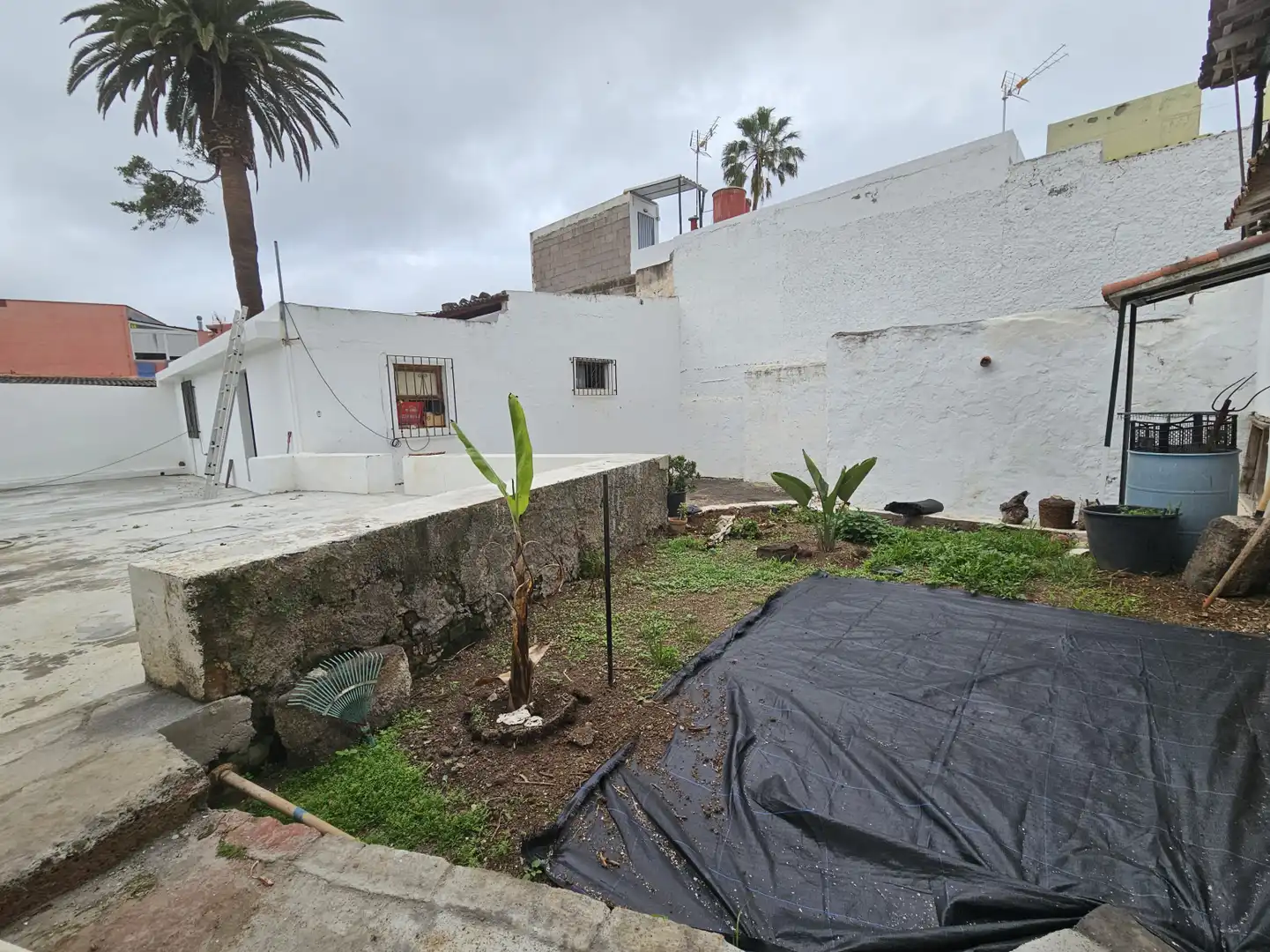Vista exterior de Casa o chalet en venta en San Cristóbal de la Laguna