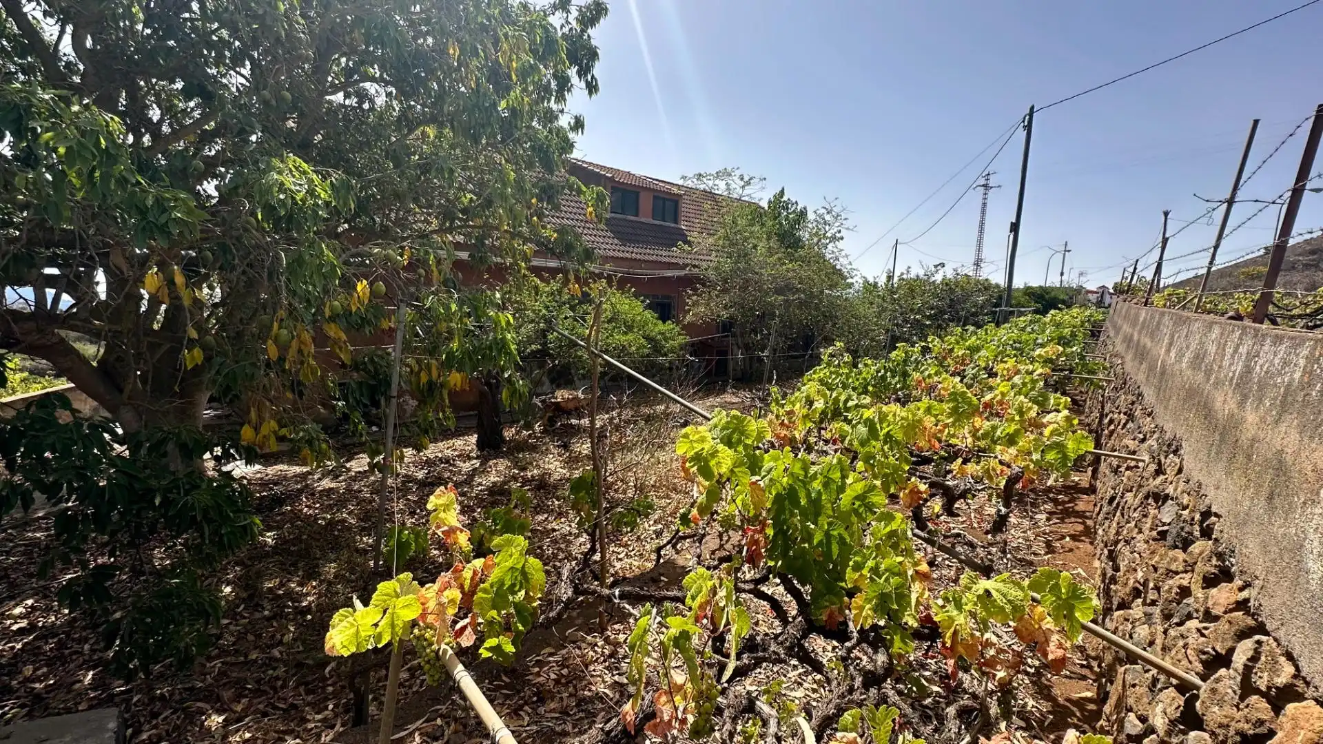 Finca rústica en venta en El Rosario con Jardín privado, Terraza y Alarma