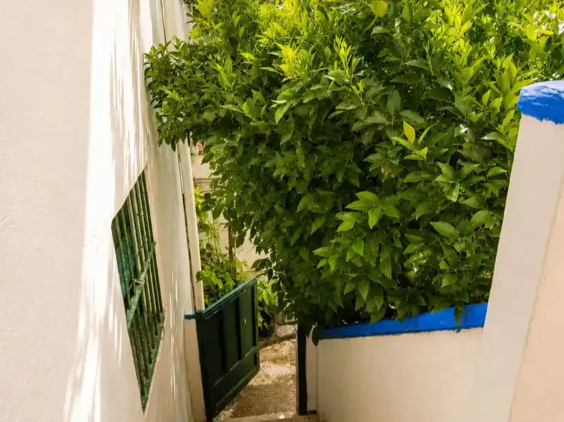 Vista exterior de Casa adosada en venda en Pinos Puente amb Balcó