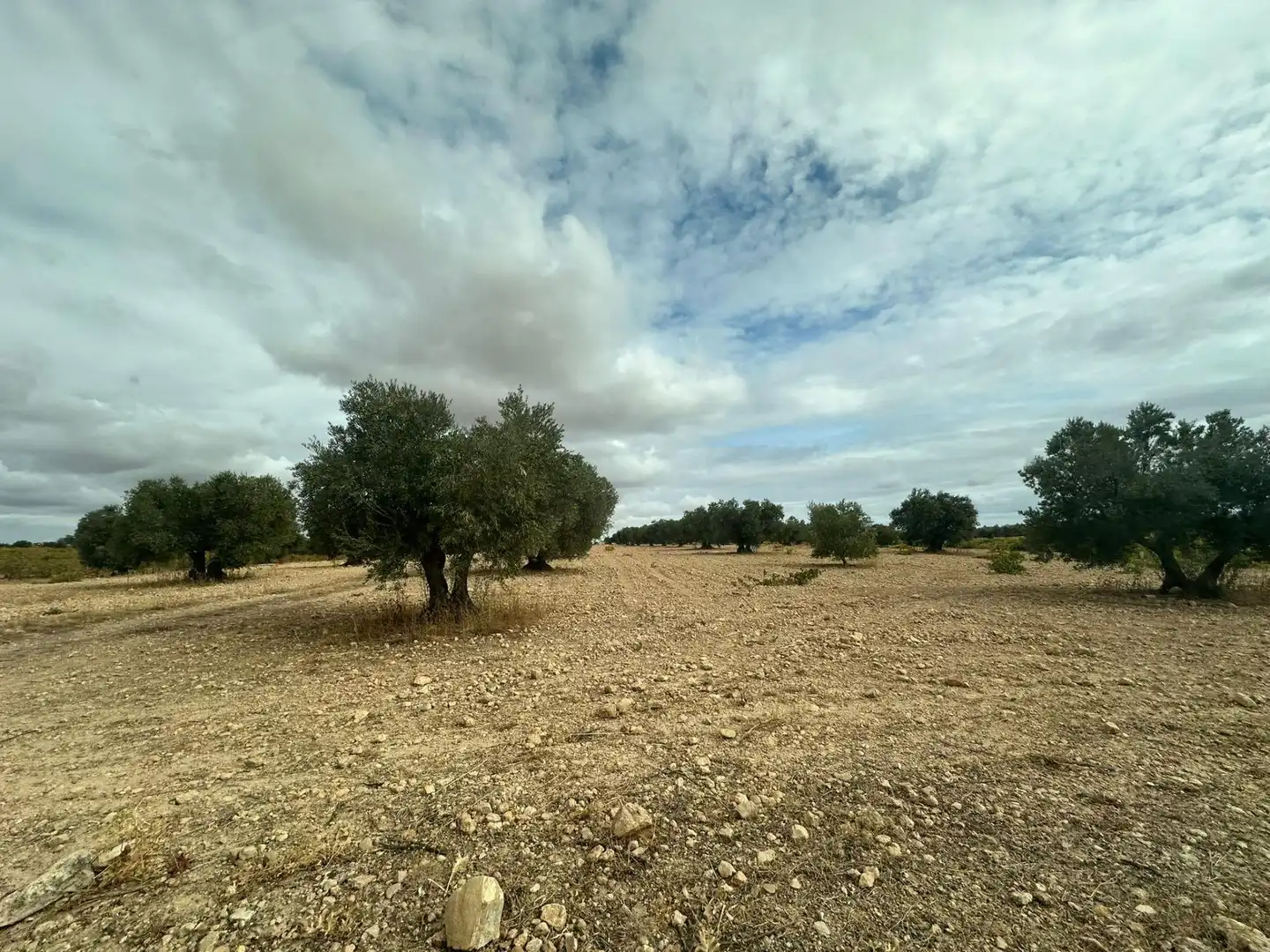 Finca rústica en venta en Quintanar de la Orden con Terraza y Trastero