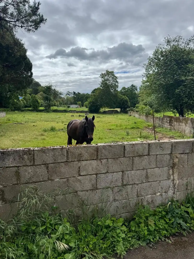 Wohnbaugrundstück zum Verkauf in Cangas de Onís, imagen 5