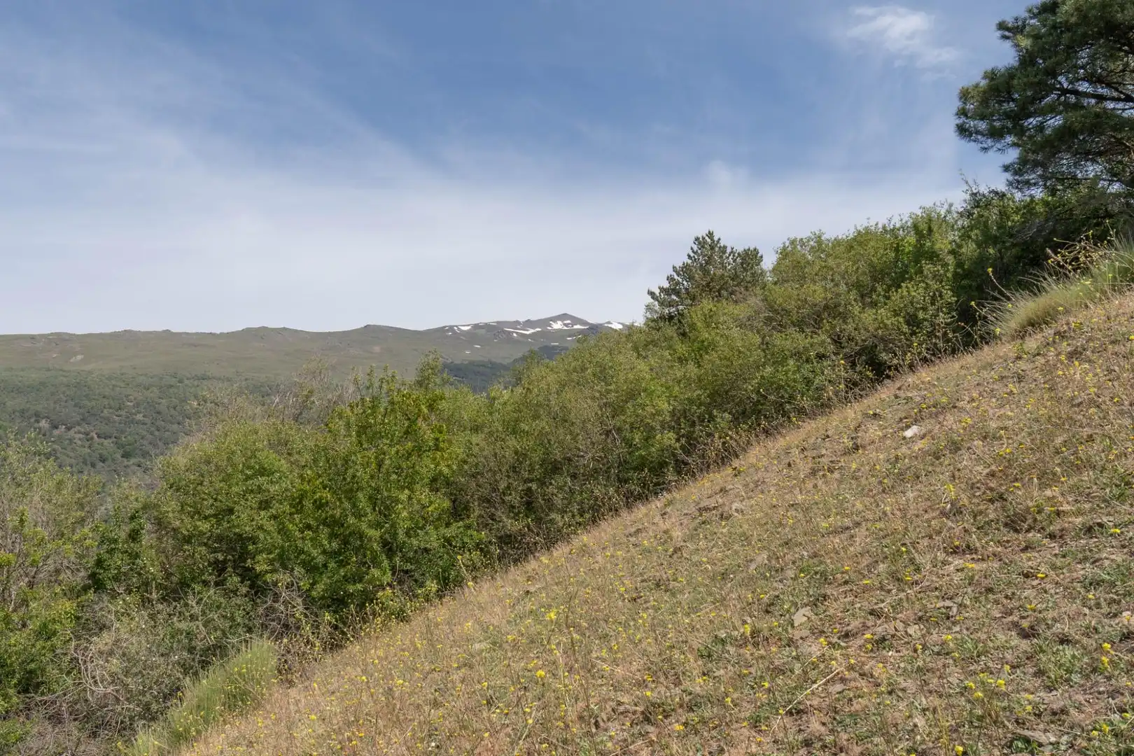 Terreno en venta en Soportújar