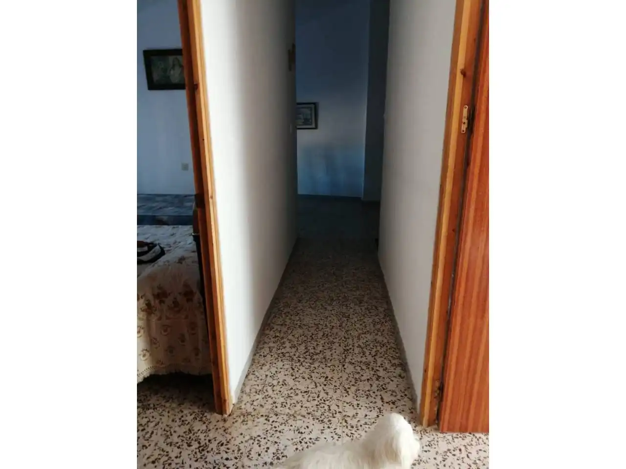 Maison à vendre à Chirivel, imagen 17