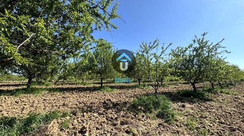 Foto 3 von Grundstücke zum Verkauf in Herreruela de Oropesa, Toledo