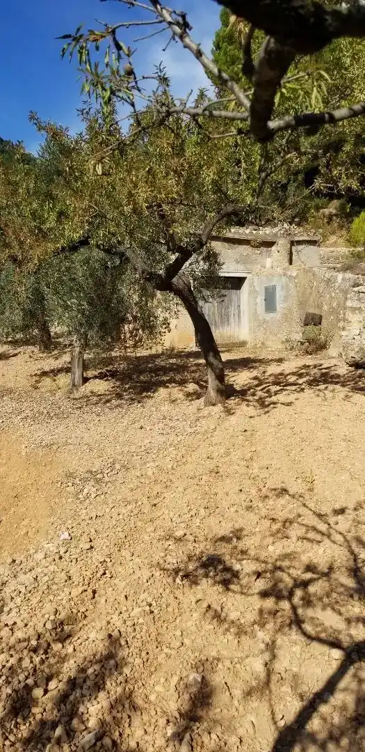 Finca rústica en venda en Amposta