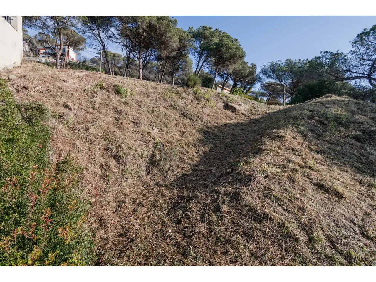 Wohnbaugrundstück zum Verkauf in Dosrius poble, imagen 5