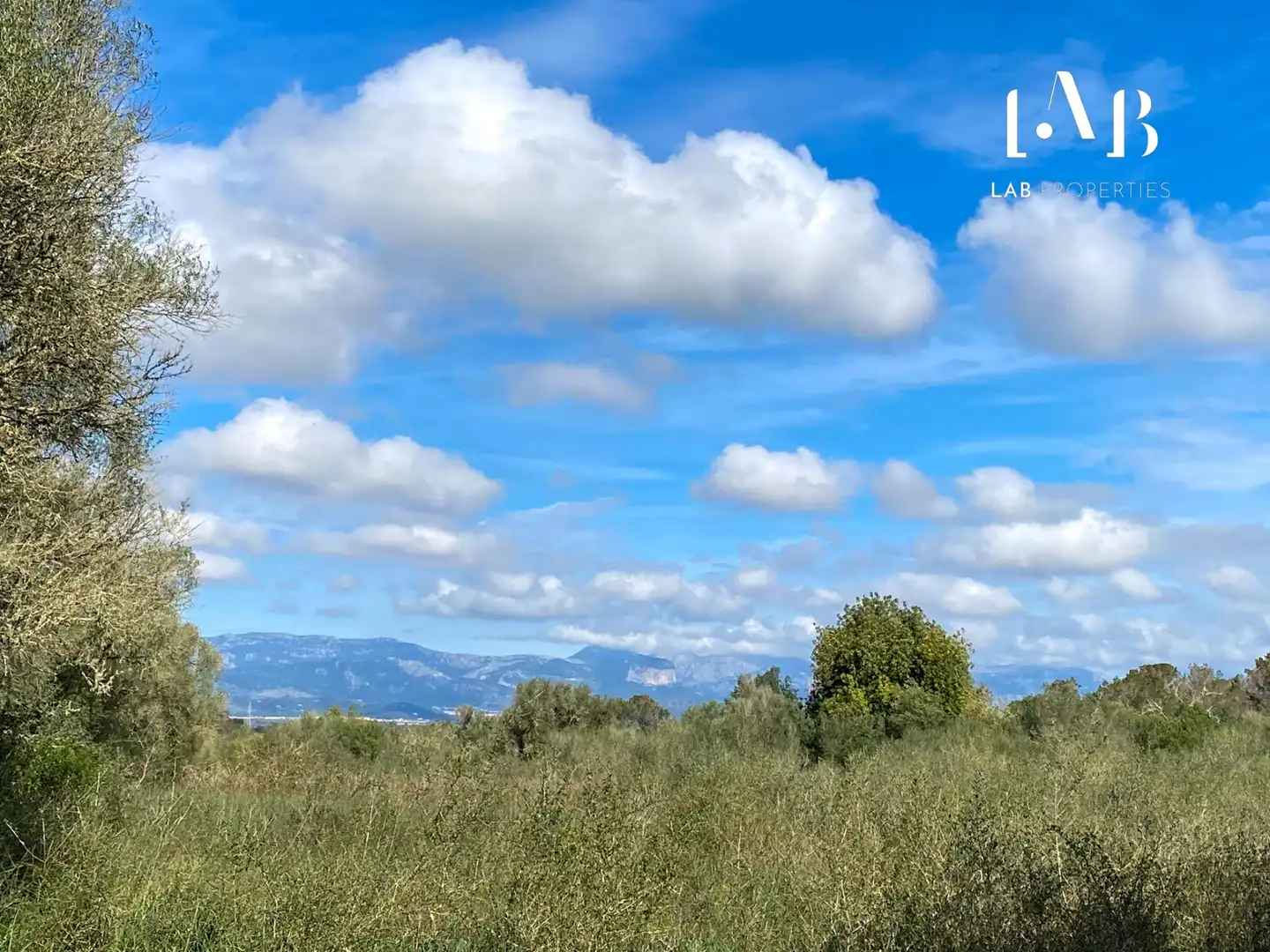 Terrenos y solares en venta en Camino Polígono 3 Parcela 4 ES RAFALET. ALGAIDA (ILLES B, imagen 8