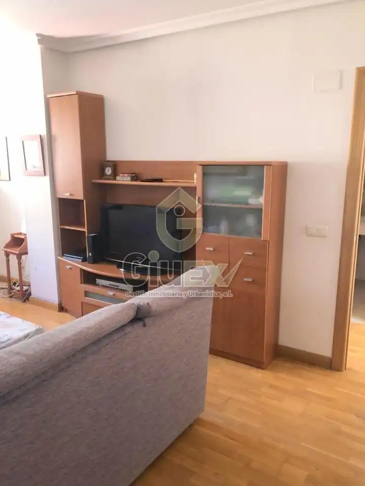 Living room of Flat for rent in Cáceres  with Air Conditioner, Heating and Terrace