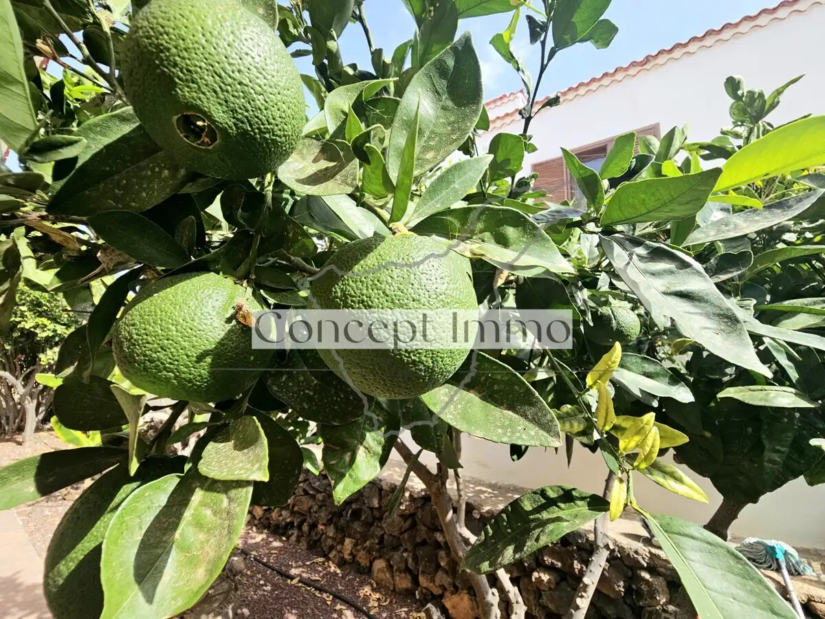Casa o xalet en venda en Arona amb Jardí privat, Terrassa i Traster