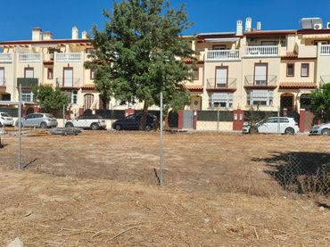 Terreno residenziale in vendita a Calle la Estacion 20