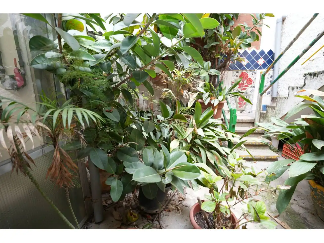 Terreno rústico en venta en Vinyets - Molí Vell, imagen 4