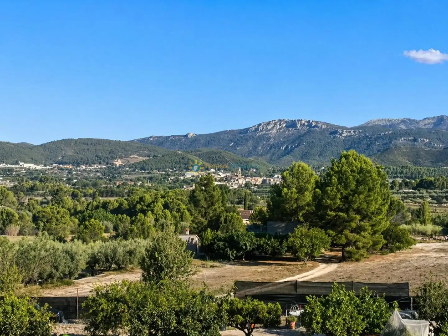 Vista exterior de Finca rústica en venta en Albaida con Jardín privado y Trastero
