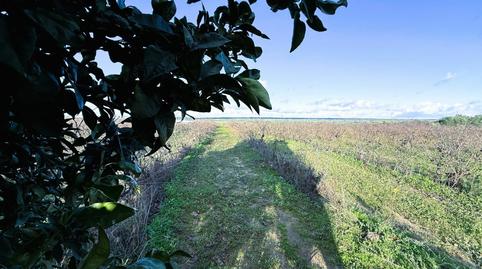 Foto 5 de Residencial en venda a Bollullos Par del Condado, Huelva