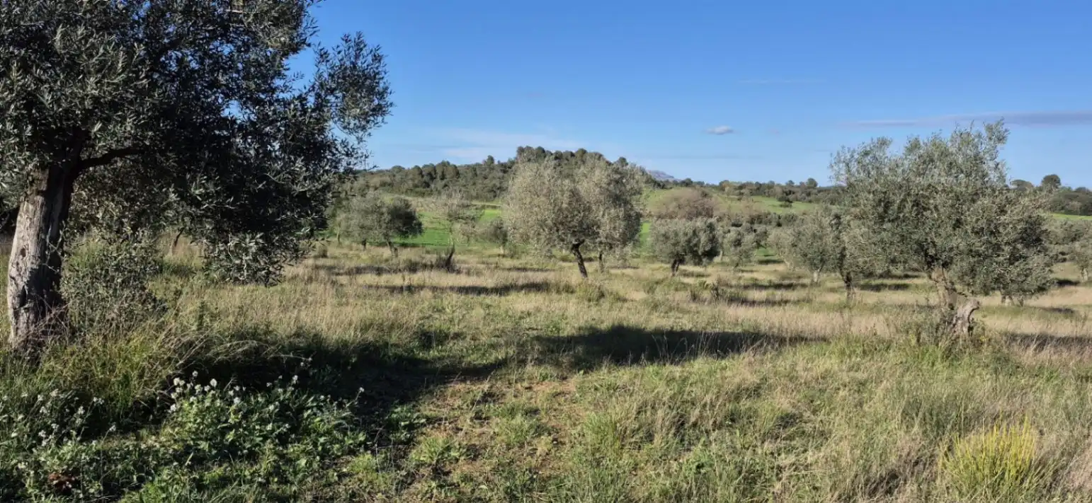 Residencial en venta en Ullastret