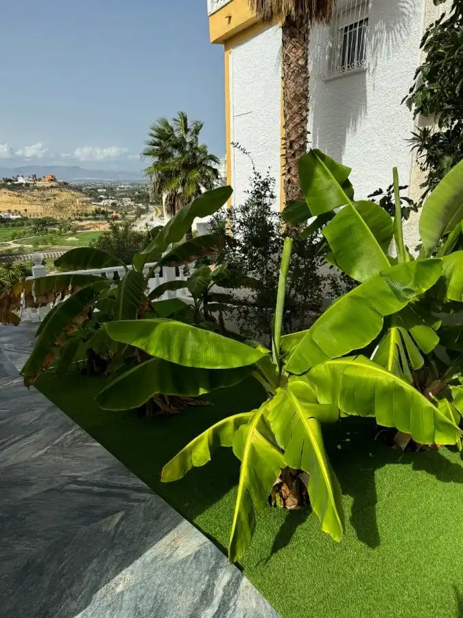 Garden of Houses for sale in Rojales  with Private garden, Terrace and Storage room