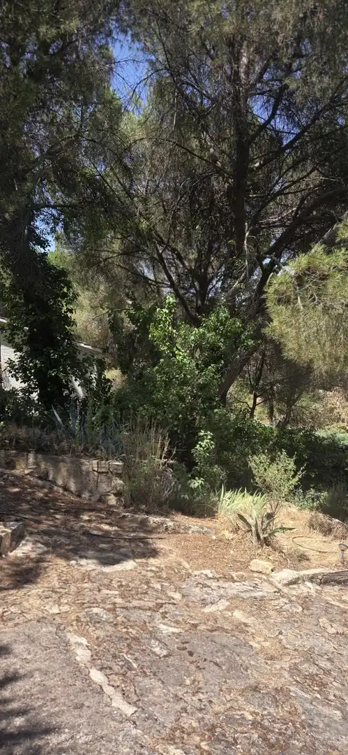 House with pool for sale in San Martín de Valdeiglesias, imagen 28