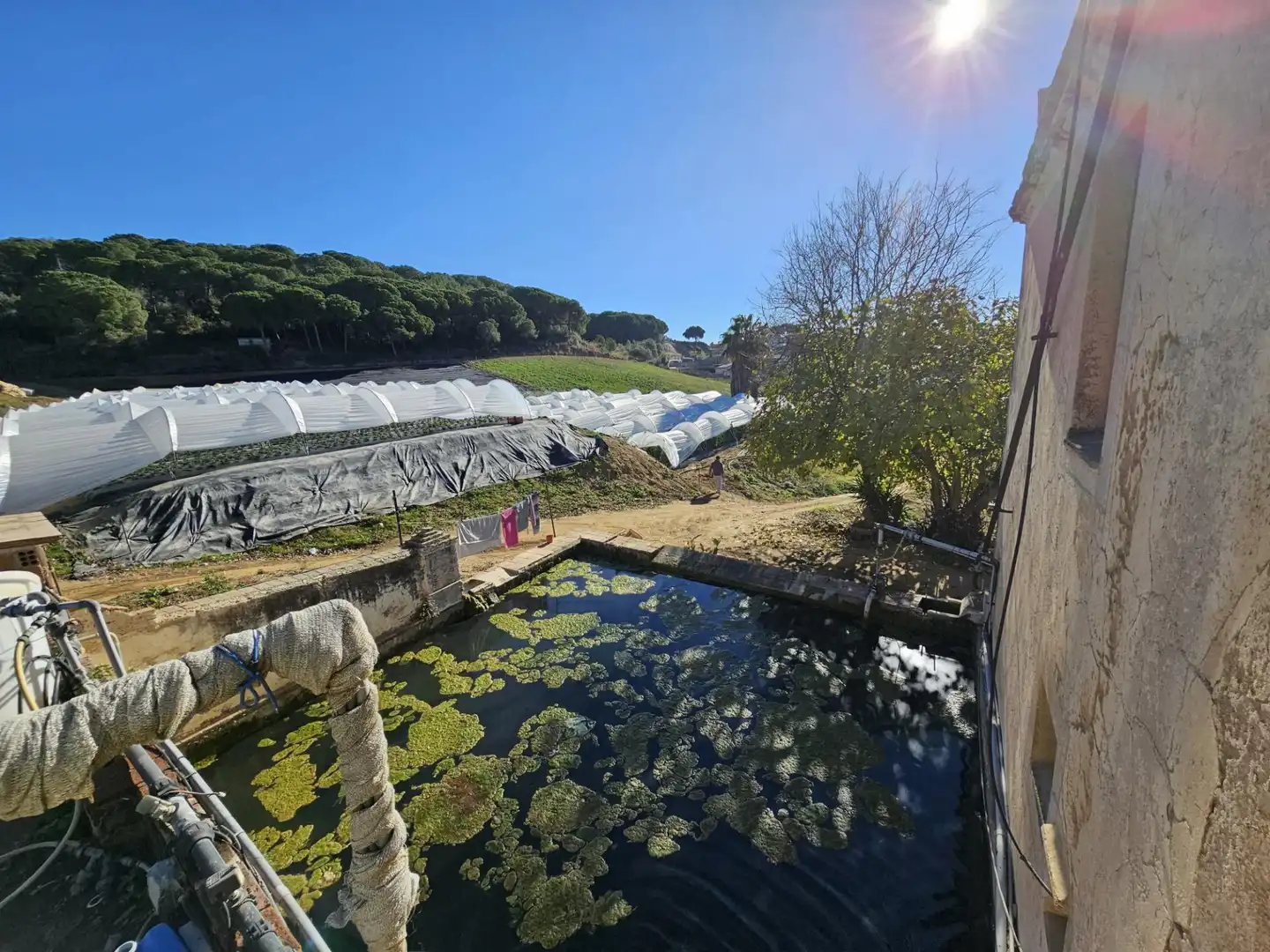 Jardín de Finca rústica en venta en Canet de Mar con Jardín privado