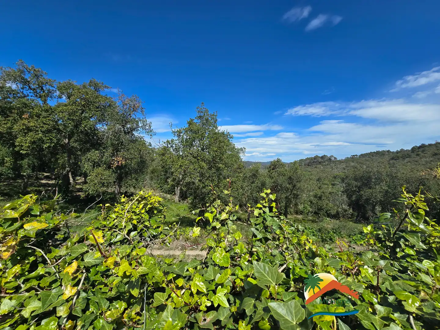 Terreno residencial en venta en Carrer Tramuntana 7, imagen 6