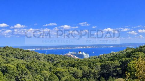 Foto 5 von Residential zum Verkauf in Génova, Palma de Mallorca